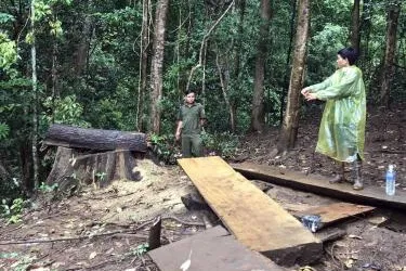 Khởi tố nguyên Trưởng Công an xã Đăk Ui (Kon Tum) liên quan đến phá rừng