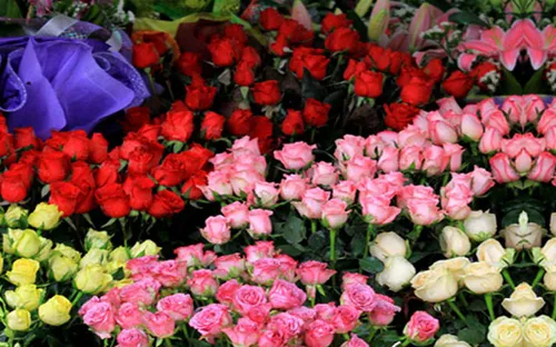 Giá hoa Đà Lạt dịp 20/10 tăng không mạnh như mọi năm