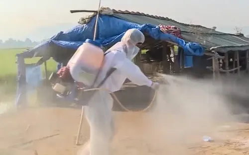 Thừa Thiên Huế: Tăng cường phòng chống dịch bệnh trên gia súc, gia cầm