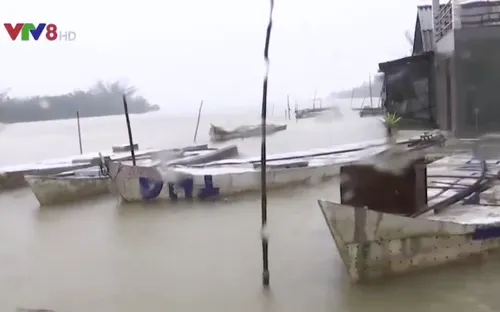 Quảng Trị: Sáng kiến nuôi cá lồng "chạy lũ"