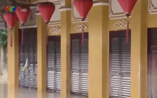 Hội An mất cơ hội kinh doanh trong Tuần lễ Cấp cao APEC