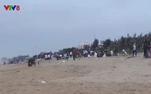 Thanh niên Phú Yên ra quân làm sạch biển sau bão số 12