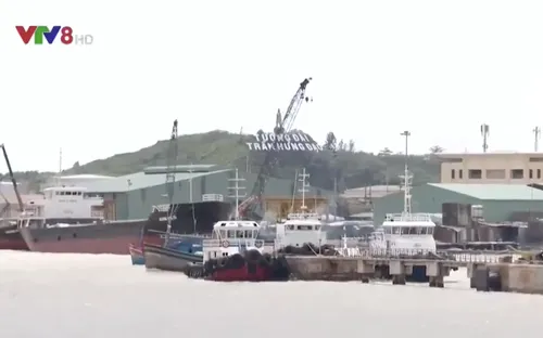 Xuất khẩu gỗ tại Bình Định bị dồn ứ do tàu hàng chìm