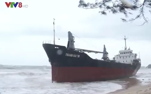 Hút dầu để trục vớt 8 tàu chìm ở biển Quy Nhơn