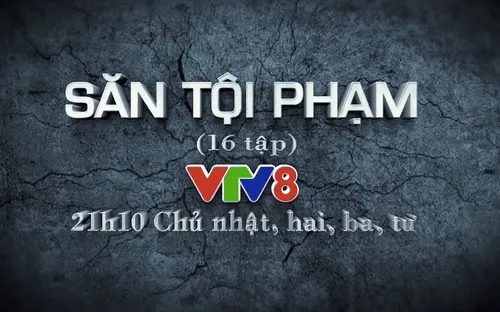 Phim "Săn tội phạm" (21h15 Chủ nhật, thứ Hai, Ba, Tư)