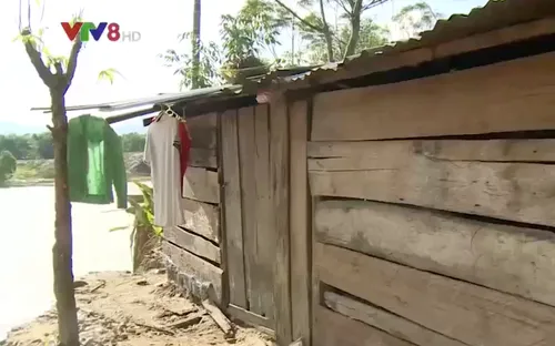 Quảng Nam cần sớm di dời "làng sạt lở" ven sông Trường