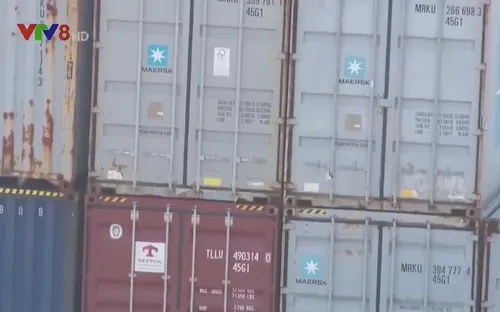 Xuất khẩu gỗ tại Bình Định bị dồn ứ do tàu hàng chìm