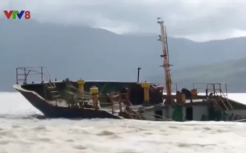 Tiếp tục hút dầu tàu hàng chìm tại cảng Quy Nhơn