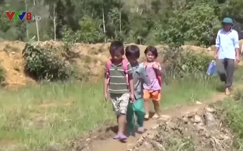 Gian nan con chữ vùng sạt lở núi ở Quảng Nam