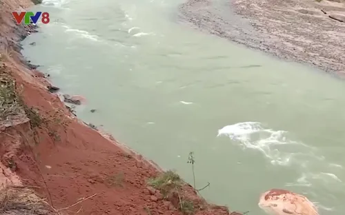 Khánh Hòa: Hàng trăm ha hoa màu có nguy cơ hư hỏng do bị cô lập