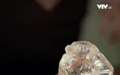 Đấu giá viên kim cương hoà bình