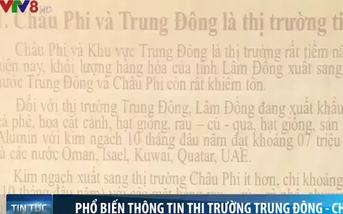 Trung Đông và châu Phi: Khối thị trường tiềm năng