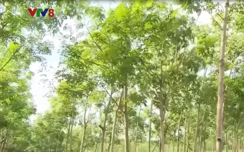 Xuất khẩu nông sản cả nước đang hướng đến mốc 36 tỷ USD