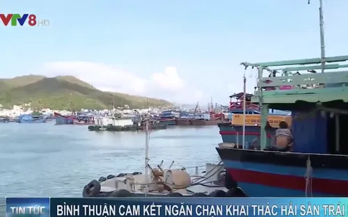 Bình Thuận cam kết ngăn chặn khai thác hải sản trái phép