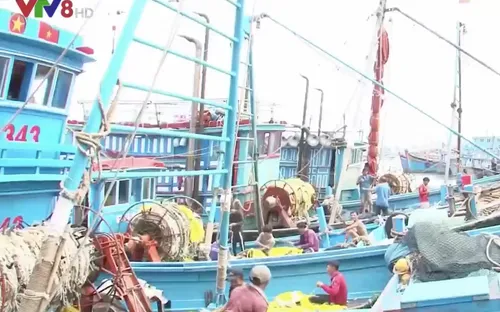 Khánh Hòa: Khắc phục tình trạng khai thác thủy sản trái phép