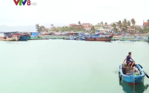 Chậm hỗ trợ người nuôi trồng thủy sản bị thiệt hại do bão số 12