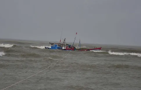 Cứu nạn 19 thuyền viên hai tàu cá Nghệ An bị tàu không rõ quốc tịch đâm chìm