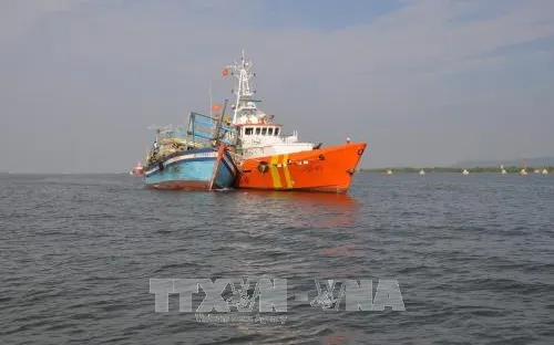 Cứu 10 ngư dân Bình Thuận gặp nạn trên vùng biển Bà Rịa-Vũng Tàu