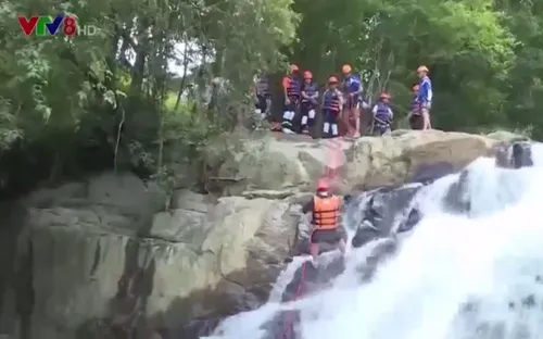 Lâm Đồng quảng bá thương hiệu “Đà Lạt - kết tinh kỳ diệu từ đất lành”