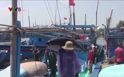 Điều chỉnh thói quen đánh bắt trước "thẻ vàng" của EC với thủy sản Việt