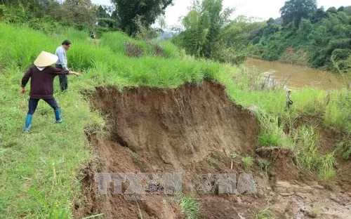 Lâm Đồng tiếp tục tạm dừng khai thác cát trên sông Đồng Nai