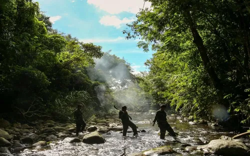 Quảng Nam ngăn chặn hàng chục đường dây săn bắt thú rừng