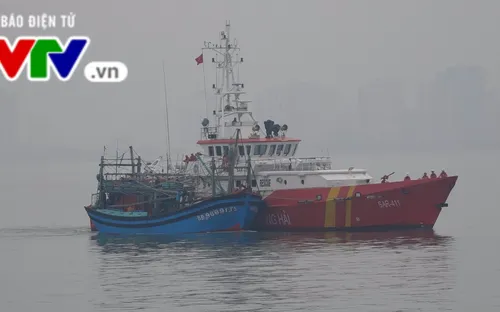 Đà Nẵng: Cứu nạn 7 thuyền viên và tàu cá bị hỏng máy, thả trôi trên biển