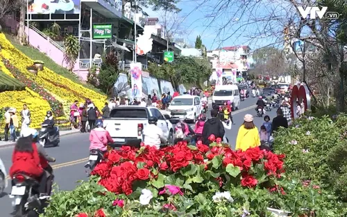 Khai mạc Không gian hoa Đà Lạt dịp Festival