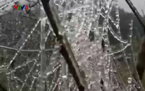 Nghệ An: Học sinh Mường Lống đi học trong giá rét 10 độ C