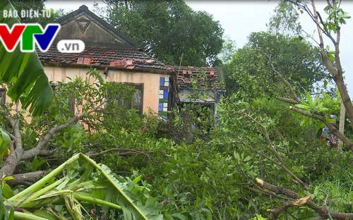 Phú Yên: Một người bị thương, 7 căn nhà bị tốc mái do giông lốc