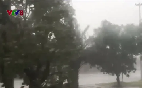 Hà Tĩnh: Áp lực vận hành công trình thủy lợi trước bão số 10