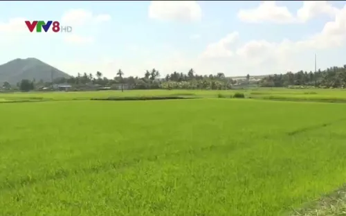 Các tỉnh Nam Trung Bộ và Tây Nguyên đề phòng thời tiết cực đoan vụ Đông Xuân