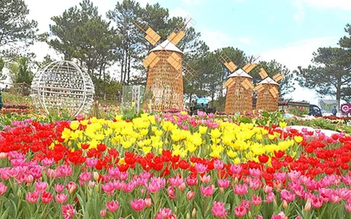 Phát miễn phí 10.000 bản đồ du lịch trong dịp Festival hoa Đà Lạt