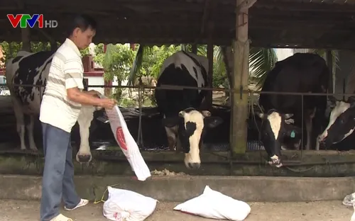 Hiệu quả từ mô hình hợp tác xã kiểu mới