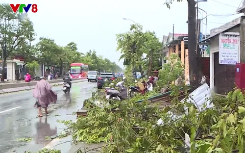 Lốc xoáy ở Thừa Thiên Huế gây thiệt hại nặng nề