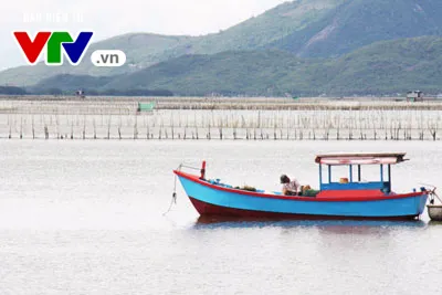 Khánh Hòa: Ngăn chặn nạn khai thác nghề cấm, vùng cấm trên đầm Nha Phu