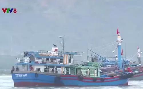 Khánh Hòa: Cấm biển, cho học sinh nghỉ học và sơ tán hơn 22.000 người dân