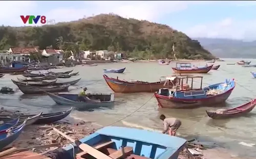 Làng biển Khánh Hòa tiêu điều sau bão số 12