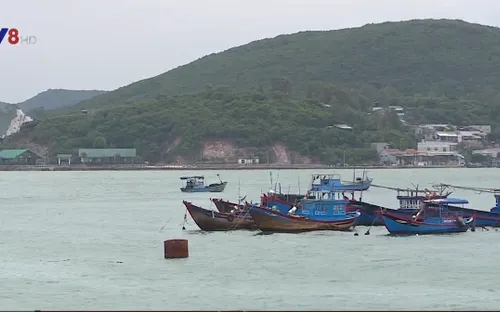 Ban Chỉ đạo Trung ương kiểm tra phòng chống bão tại Bình Thuận