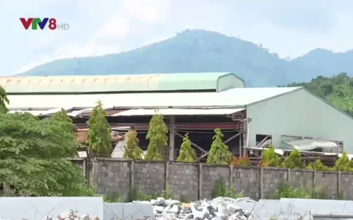 [ĐƯỜNG DÂY NÓNG VTV8]: Doanh nghiệp xả thải gây ô nhiễm ở Khánh Hòa