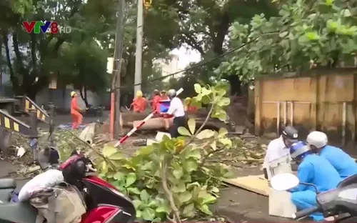 Phú Yên khẩn trương sửa chữa mạng lưới viễn thông sau bão