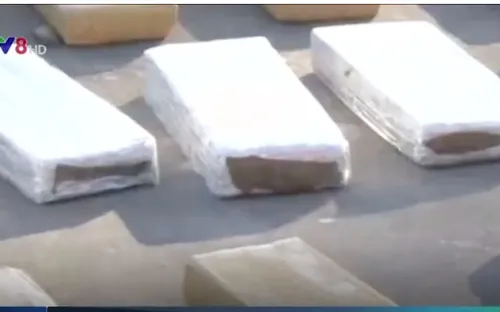 Bolivia bắt giữ hơn 5 tấn cần sa