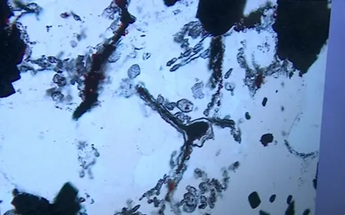 Tìm thấy mẫu hóa thạch được coi là dấu hiệu đầu tiên của sự sống tại Canada