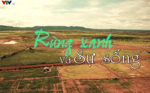 Tây Nguyên có thực sự là miền đất hứa?