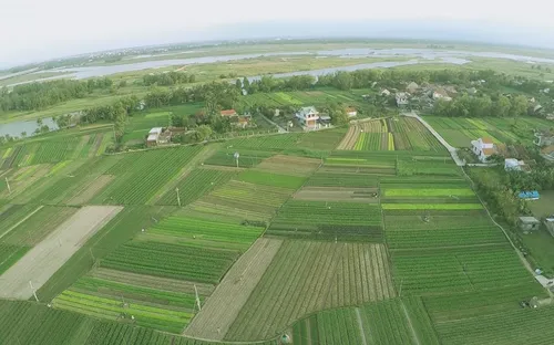 Nông dân làm du lịch - Mô hình hấp dẫn nhiều du khách