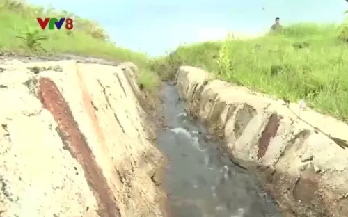 Phú Yên chủ động triển khai công tác ứng phó lụt bão