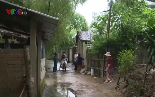 Phú Yên: Làng ven sông chủ động ứng phó lũ lụt