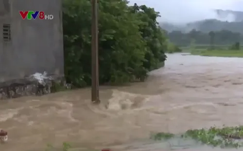 Thanh Hóa hỗ trợ gần 20 tỷ đồng giúp khôi phục sản xuất sau mưa lũ