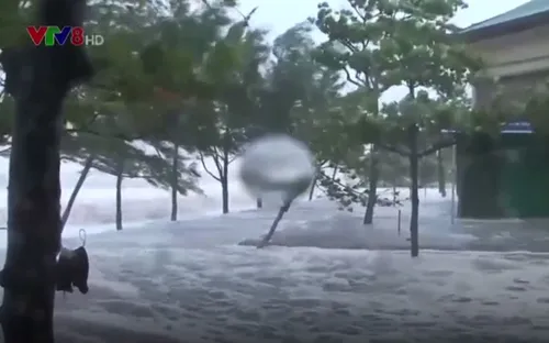 Cửa Lò (Nghệ An) tan hoang sau bão số 10