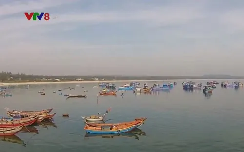 Ngư dân Quảng Ngãi chưa được hỗ trợ giảm tổn thất sau khai thác